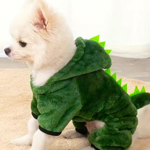 SALE****Green Dinosaur dog costume/outfit - Picture 2 of 12